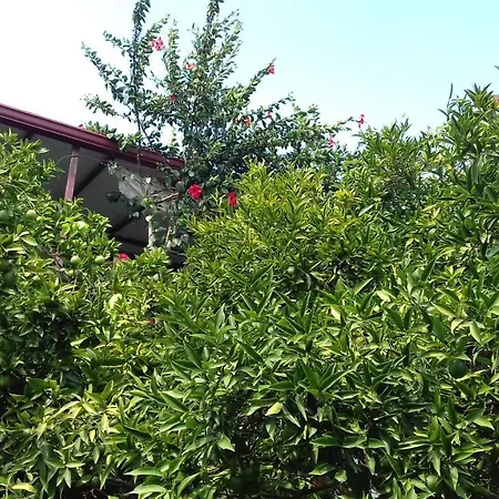 Gasthof Cennet Kaleucagız