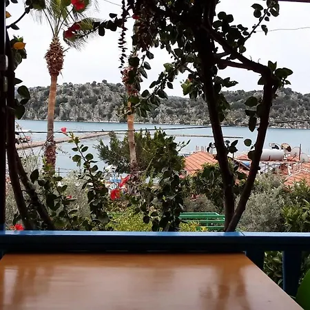 Cennet كالينجاغيس