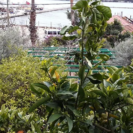 天堂旅馆 3* Kaleucagız