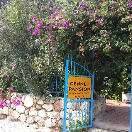 Гостевой дом Cennet